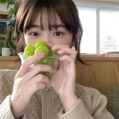 小菊的春天